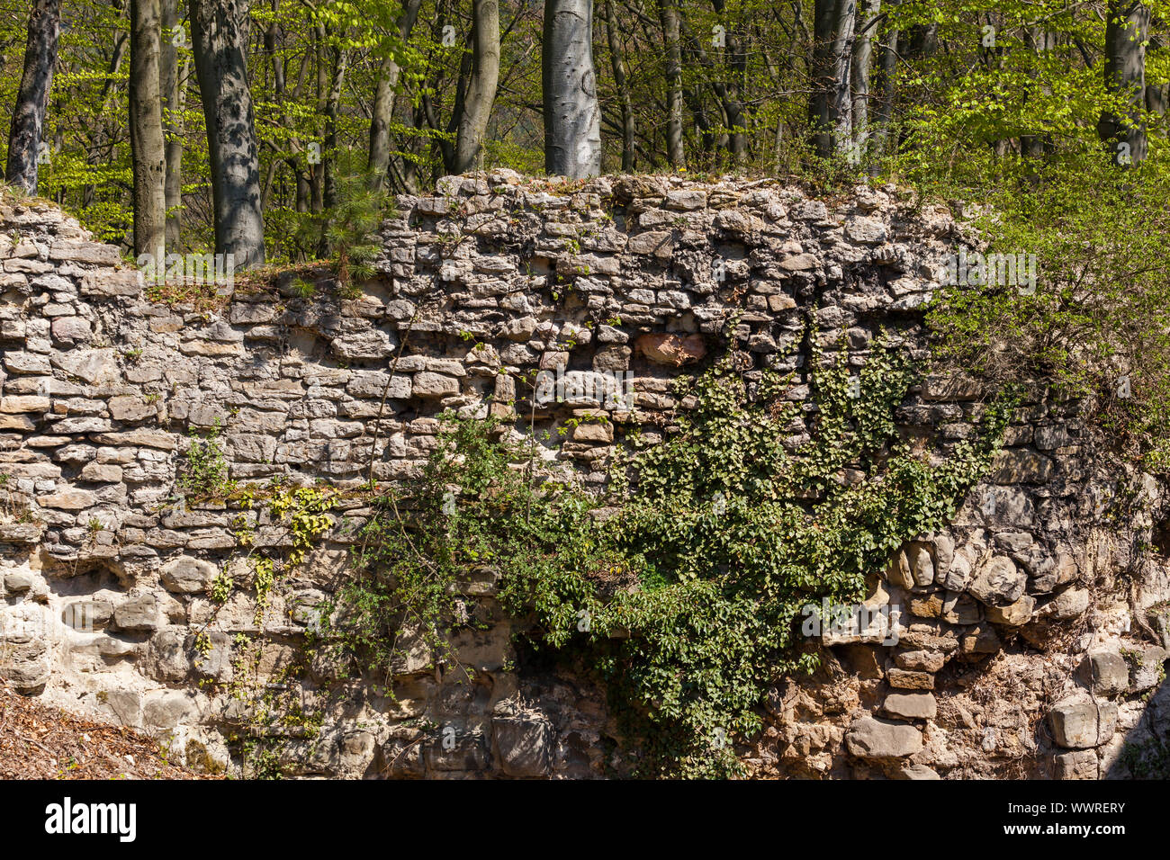Historische Reste einer Burg an der Wand Stockfoto