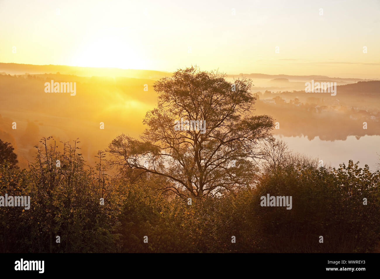 Schlakenmehren Maar im Herbst bei Sonnenaufgang, Daun, Eifel, Rheinland-Pfalz, Deutschland, Europa Stockfoto