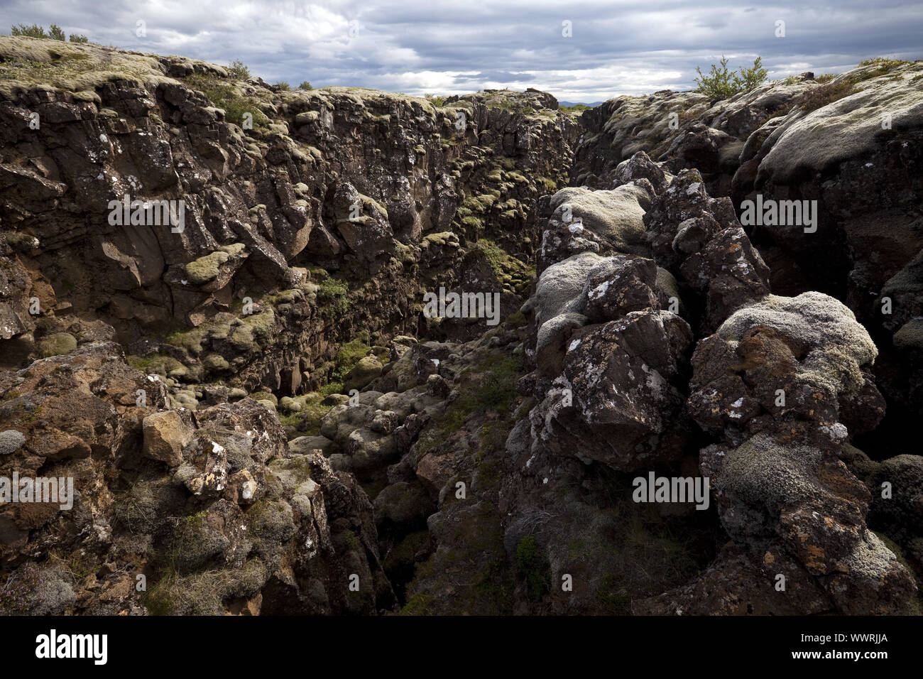 Landschaft mit Rissen und Störungen durch Kontinentaldrift verursachte, den Nationalpark Thingvellir, Island Stockfoto
