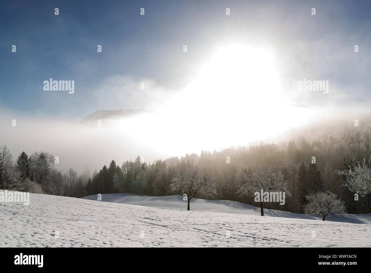 Sonnigen Tag mit Nebel Grenze auf der Rengg, Luzern, Schweiz, Europa Stockfoto