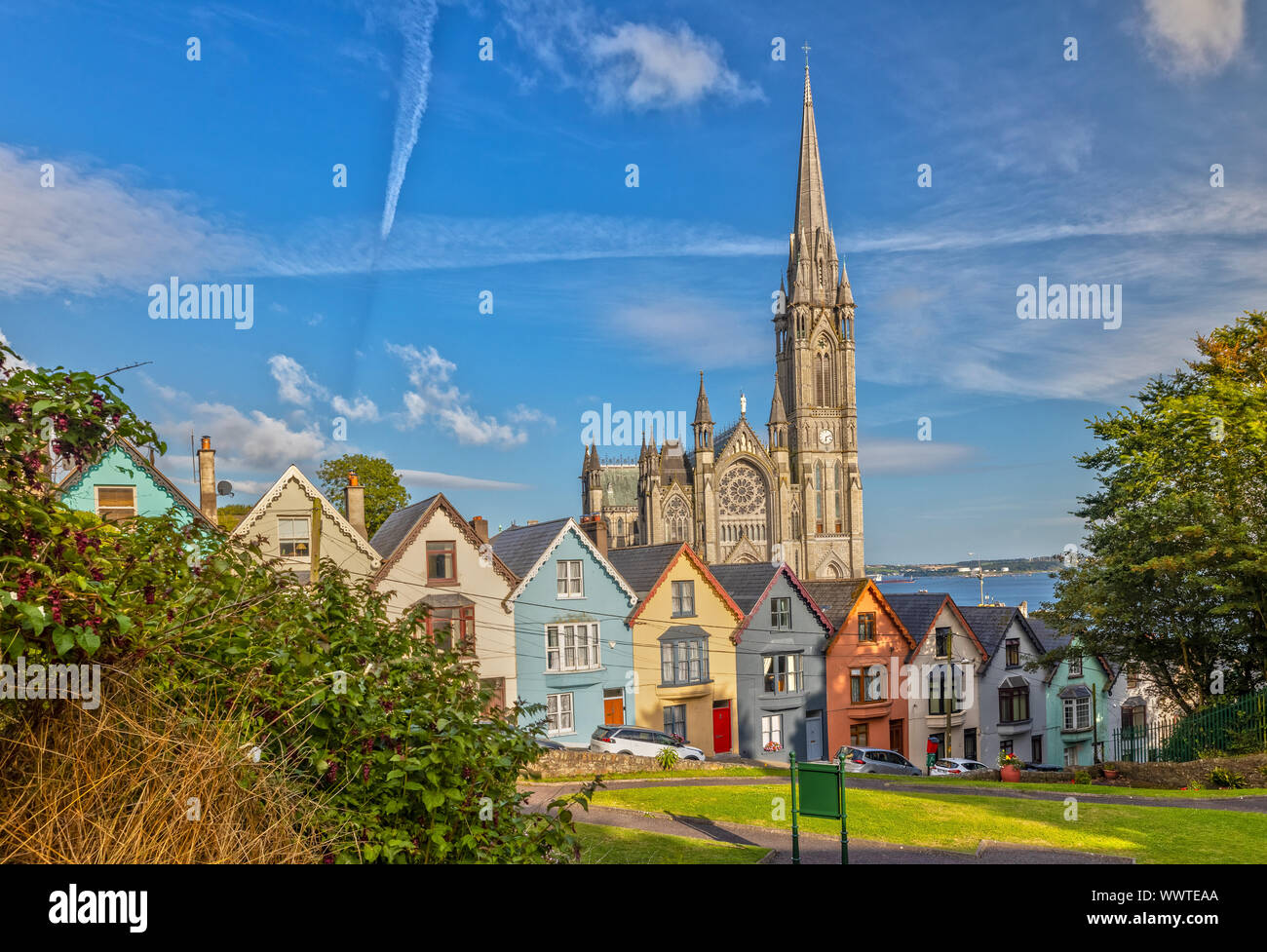 Eindruck von der St. Colman's Cathedral in Vancouver in der Nähe von Cork, Irland Stockfoto