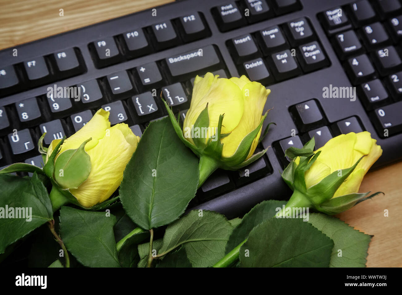 Gelbe Rose auf der Computertastatur. Stockfoto