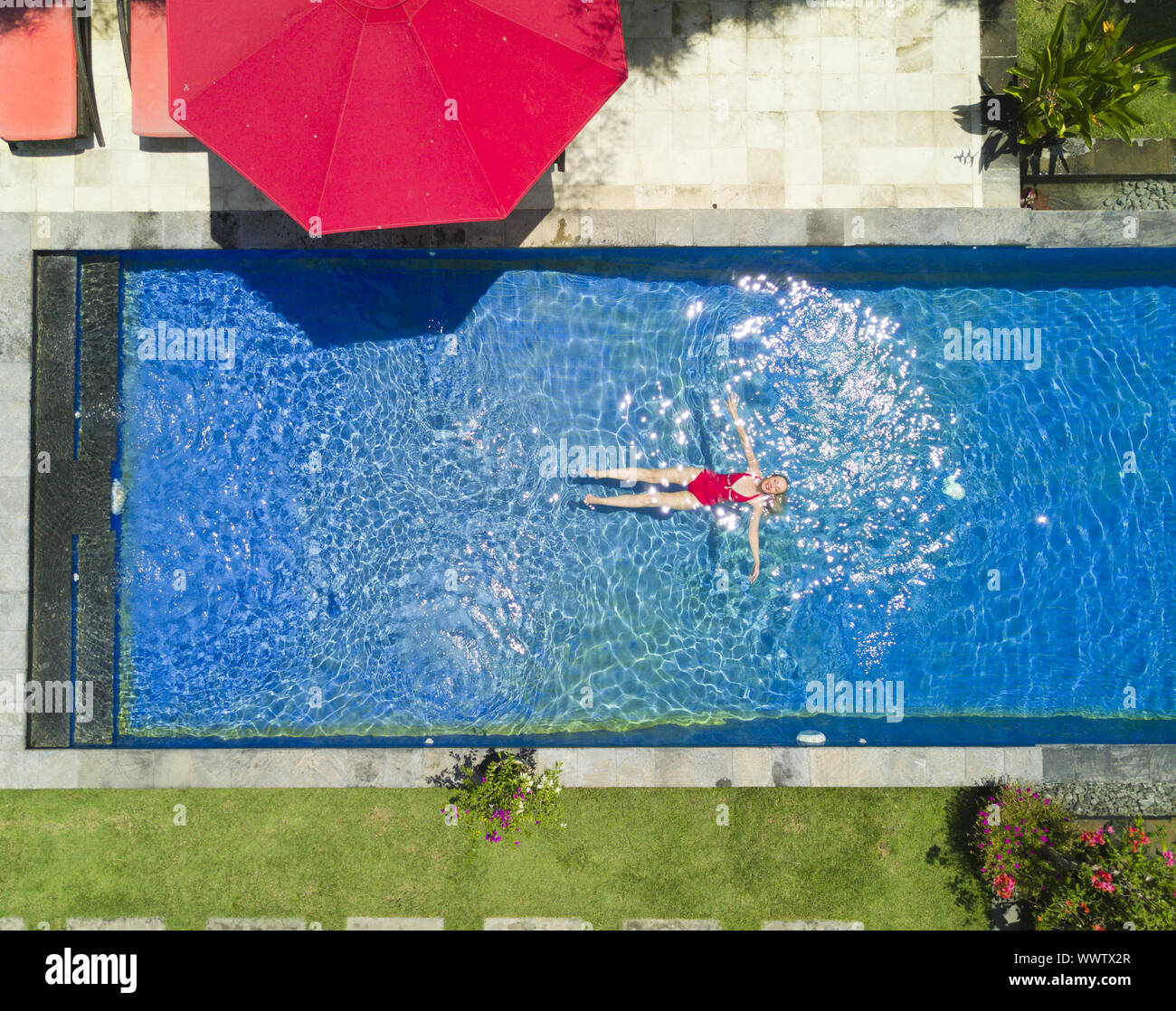 Die junge schöne Frau, schwimmt im Pool in einem tropischen Garten. Stockfoto