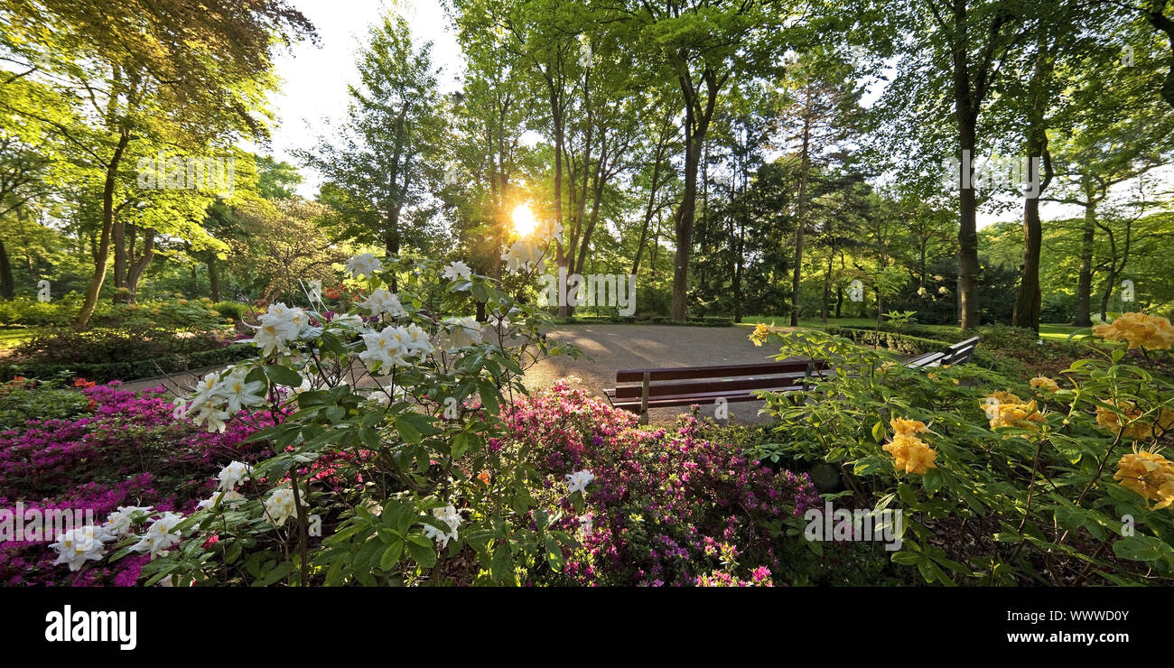 Moers Schlosspark, Moers, Ruhrgebiet, Nordrhein-Westfalen, Deutschland, Europa Stockfoto