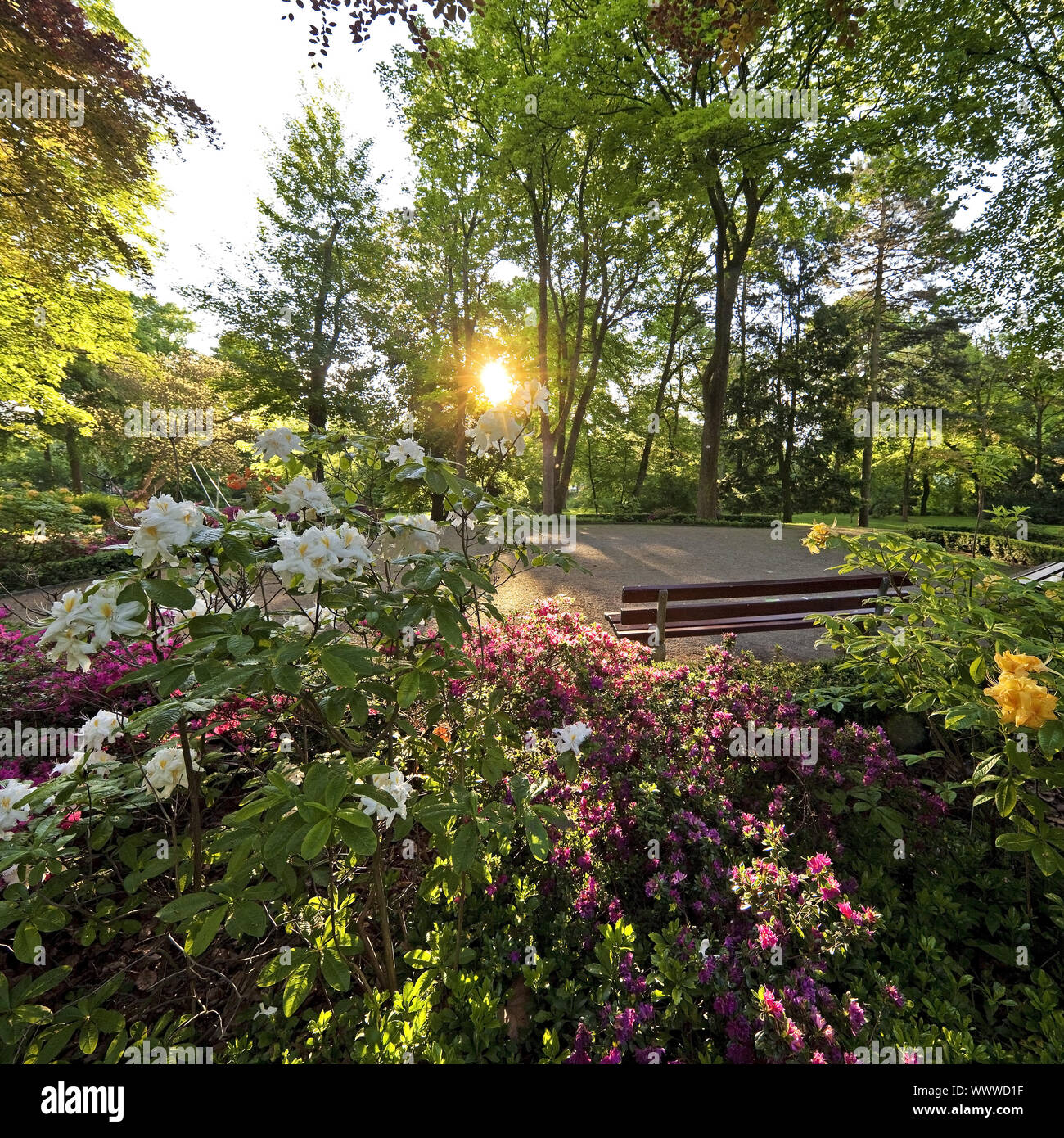 Moers Schlosspark, Moers, Ruhrgebiet, Nordrhein-Westfalen, Deutschland, Europa Stockfoto