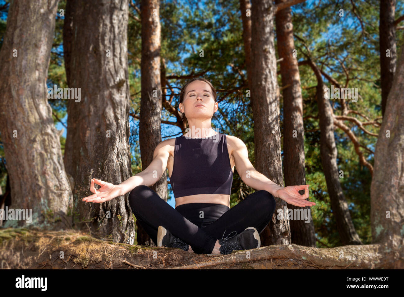 Frau in einem Wald sitzt, Yoga und Meditation. Stockfoto