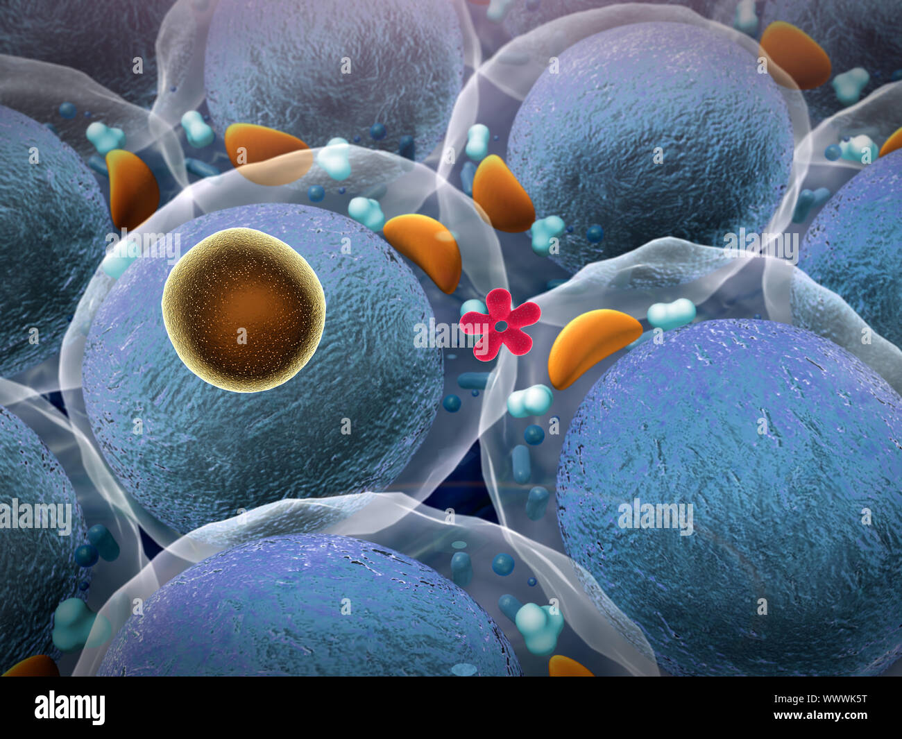 Bereich der Fettzellen, hochwertige 3D-Render von Fettzellen, Cholesterin in den Zellen, Zellen, Zellteilung, Mikroskopische Aufnahme von Zellen, Zellen, Med. Stockfoto
