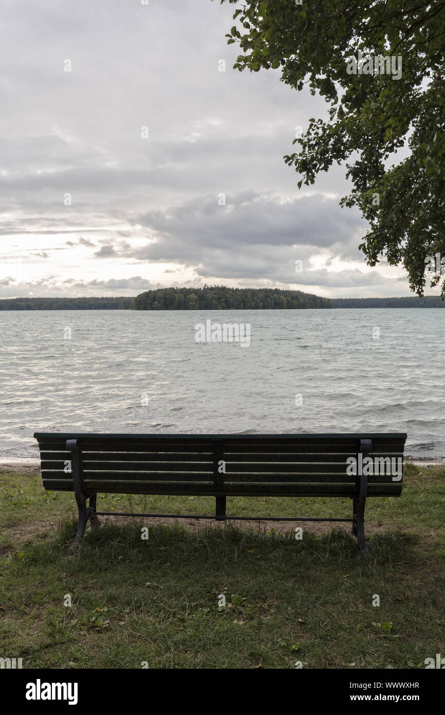 Bank am Großen Stechlin in der Uckermark, im Osten Deutschland Stockfoto