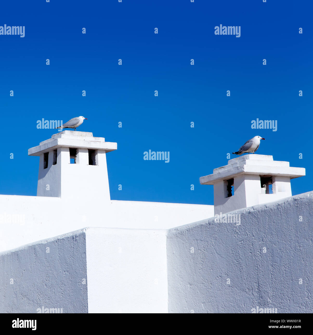 Balearen-Mittelmeer weiße Häuser mit Möwe in Schornsteinen Stockfoto