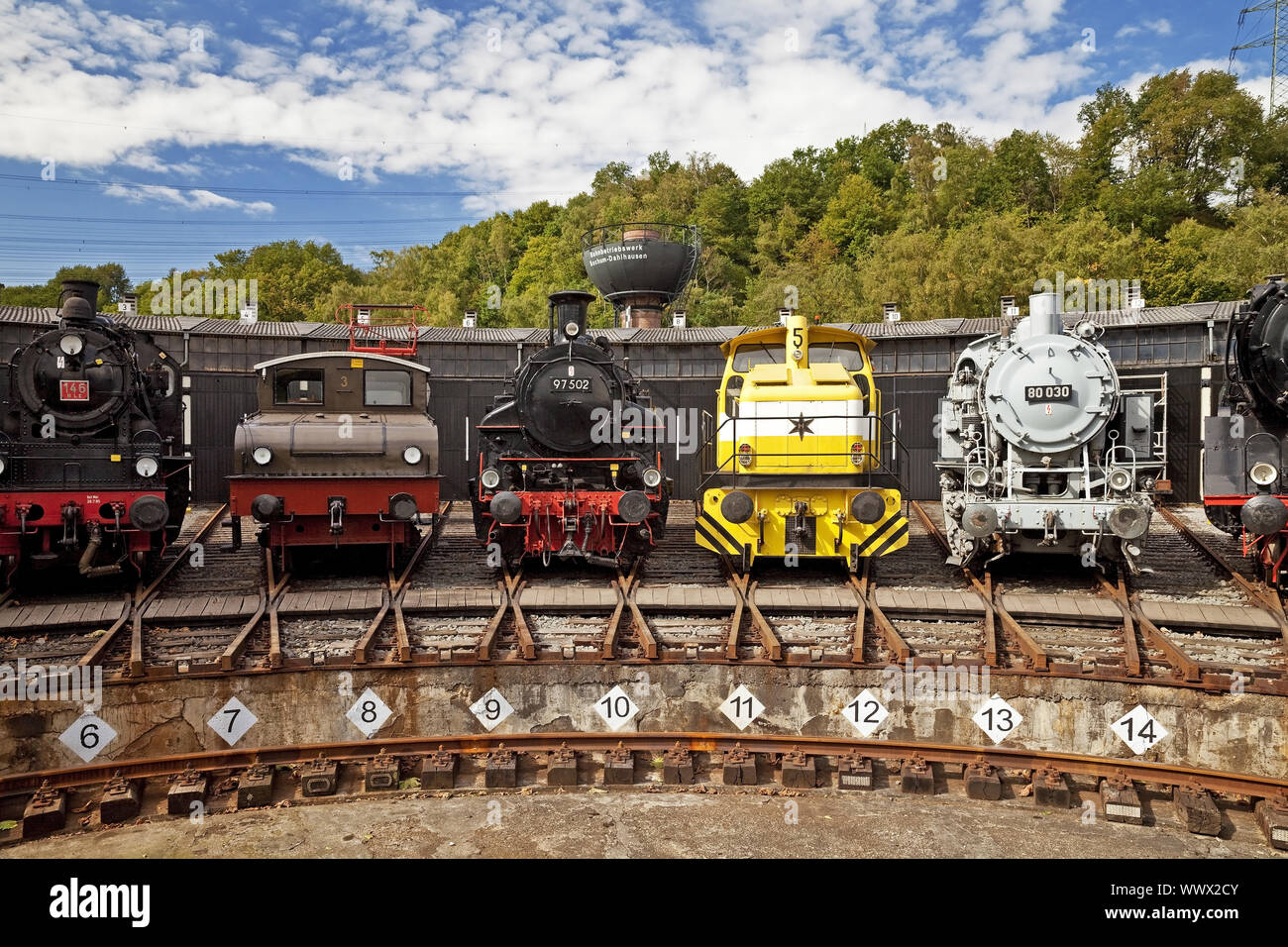 Verschiedene Arten von Dampflokomotiven, Bochum Dahlhausen Eisenbahnmuseum, Ruhrgebiet, Deutschland, Europa Stockfoto