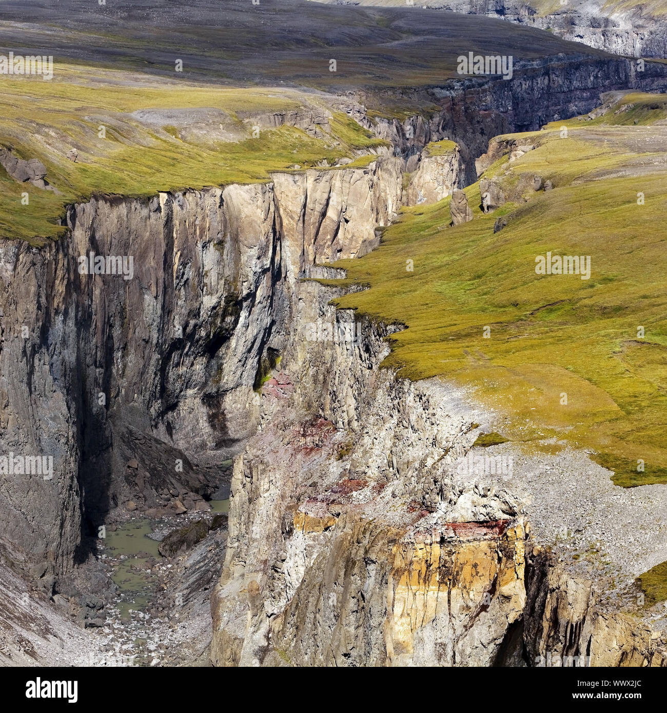 Dimmugljúfur Canyon, Highland, Osten Island, Island, Europa Stockfoto