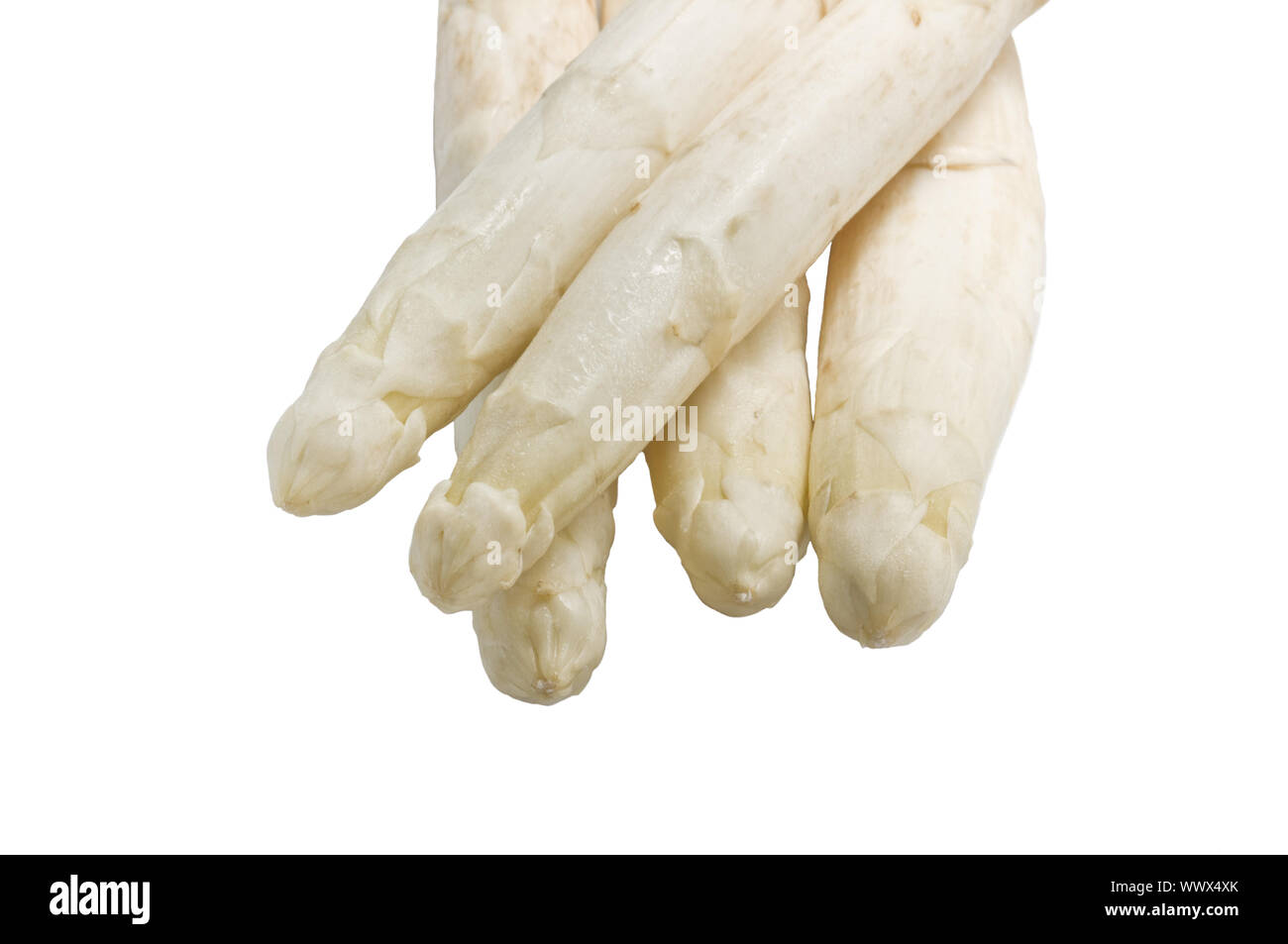 Schöne weiße jumbo Spargel aus der Nähe schießen Stockfoto