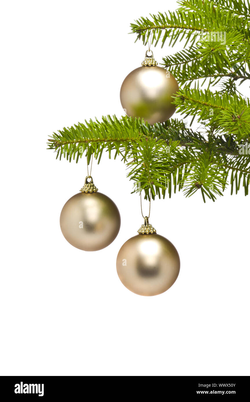 Drei goldene Dekoration Kugeln in Christmas tree branch Stockfoto