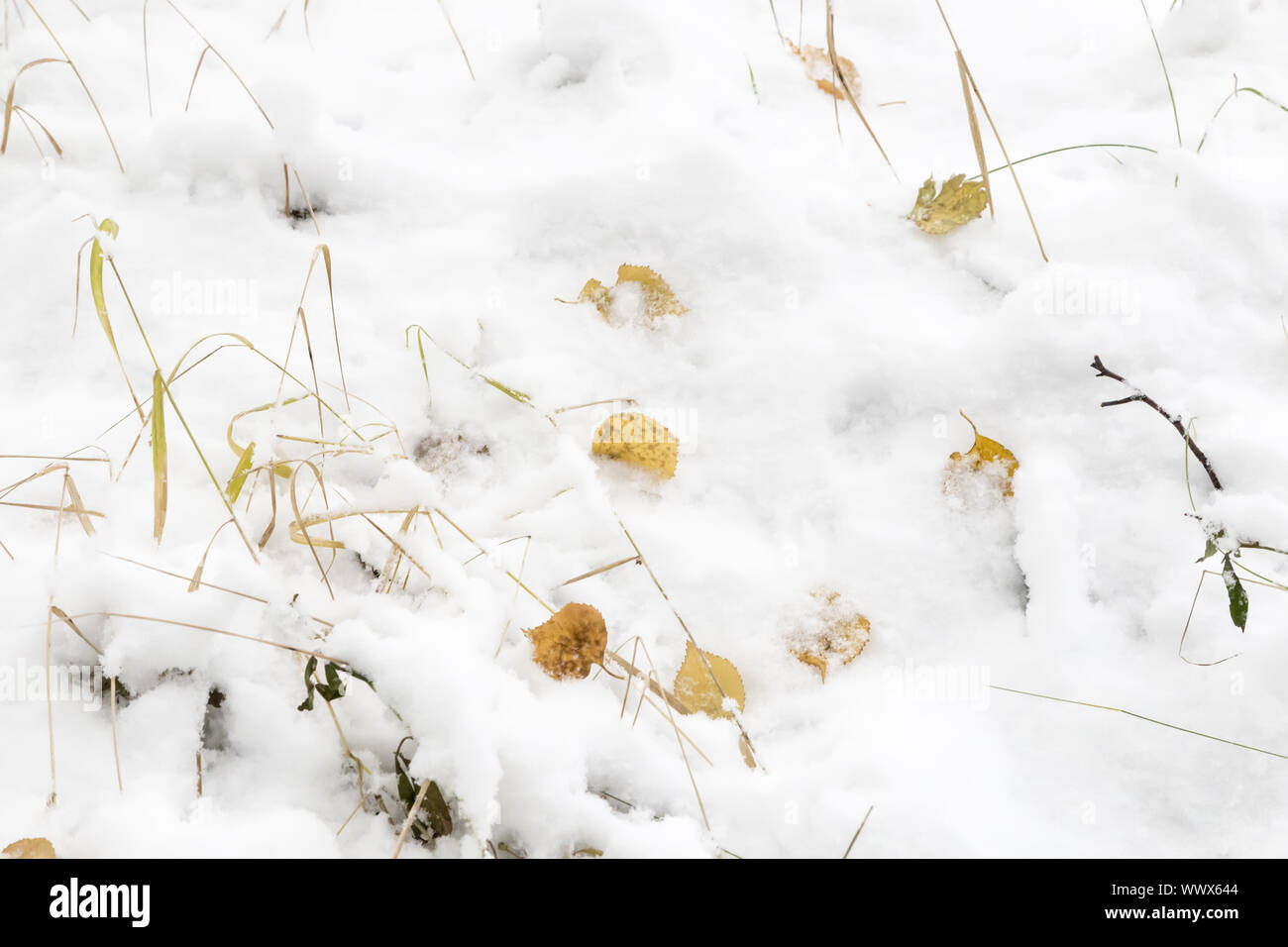 Hintergrundbild: erster Schnee. Referenz Bild. Stockfoto