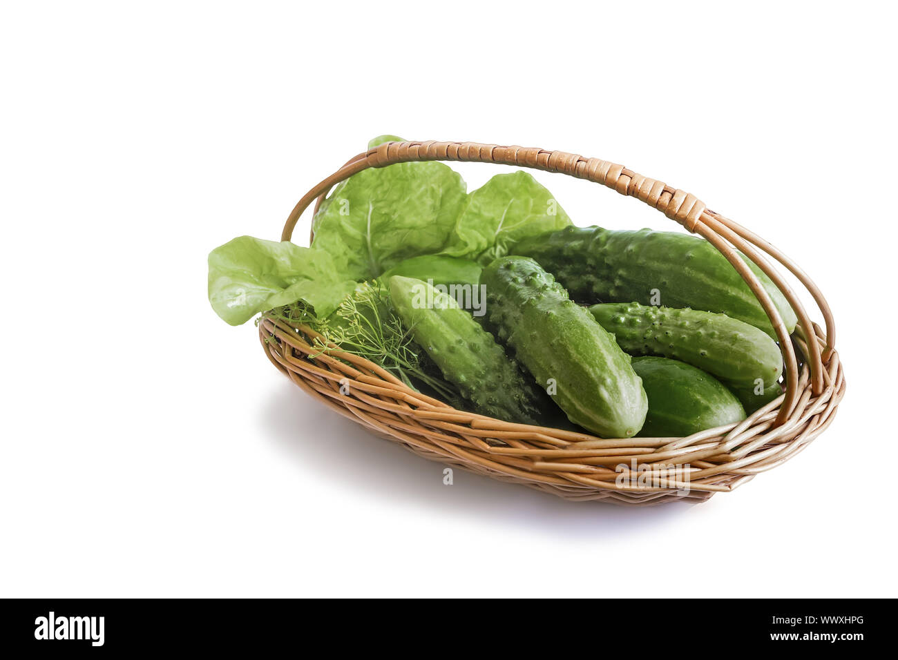 Korb mit Gurken auf einem weißen Hintergrund. Stockfoto