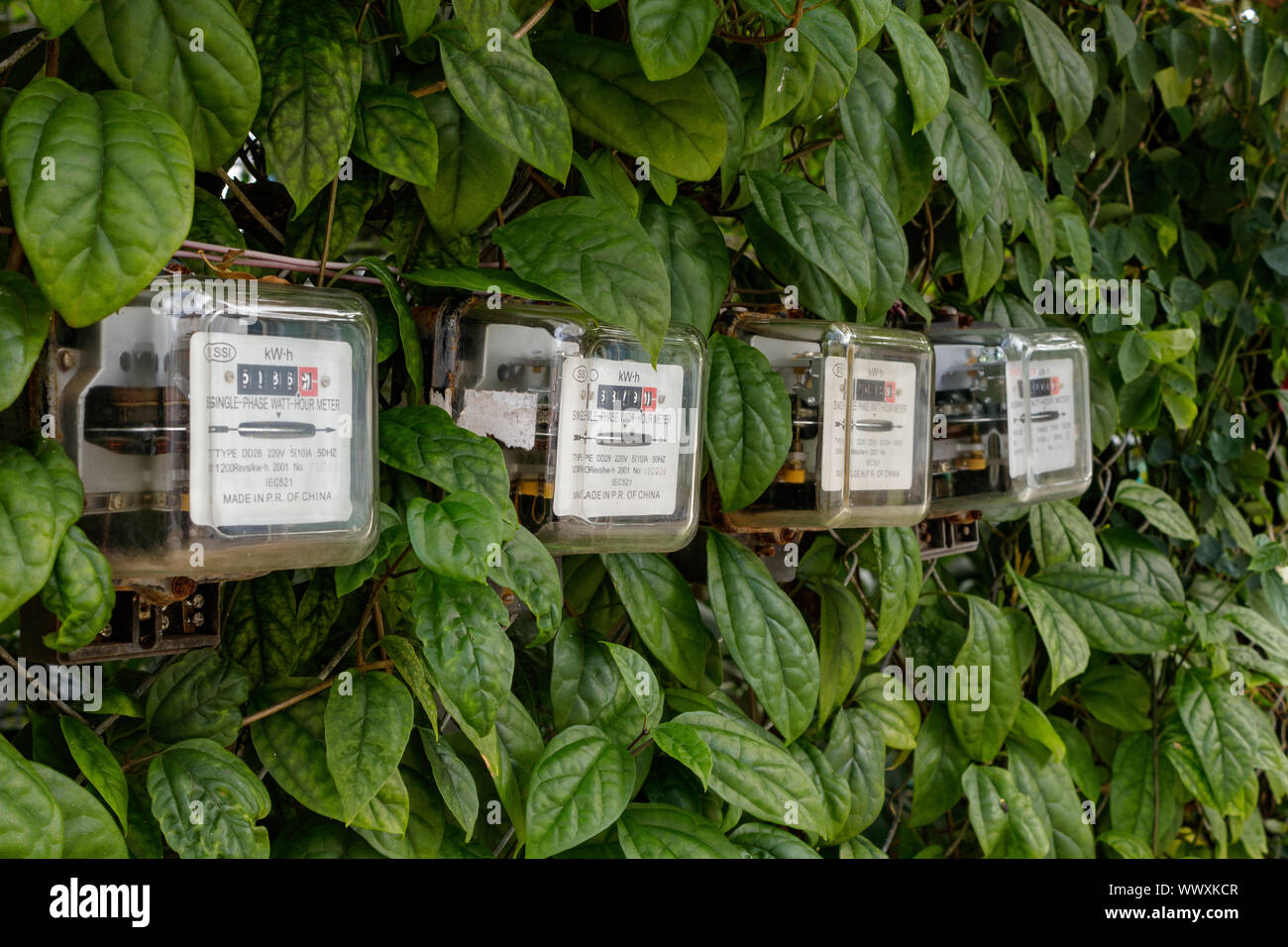 Vier Stromzähler in einem Hedge Stockfoto