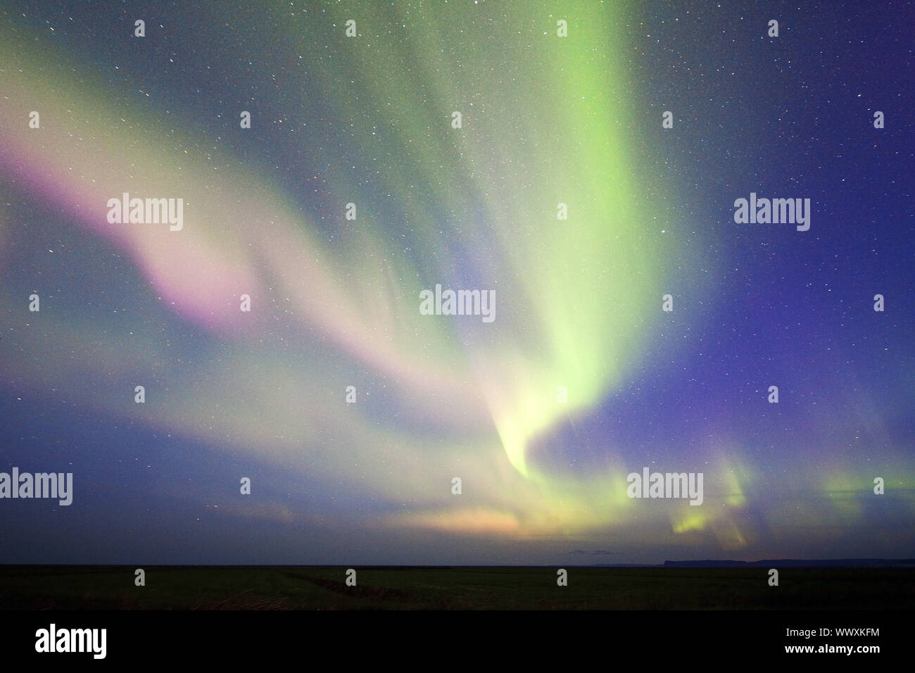 Polarlichter oder Aurora Borealis über Svinafell, South Island, Island, Europa Stockfoto