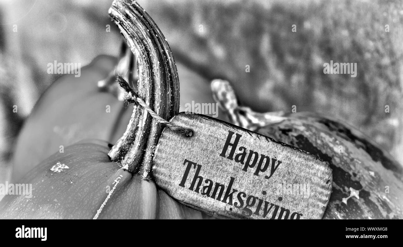 Kürbis mit Tag Happy Thanksgiving Stockfoto
