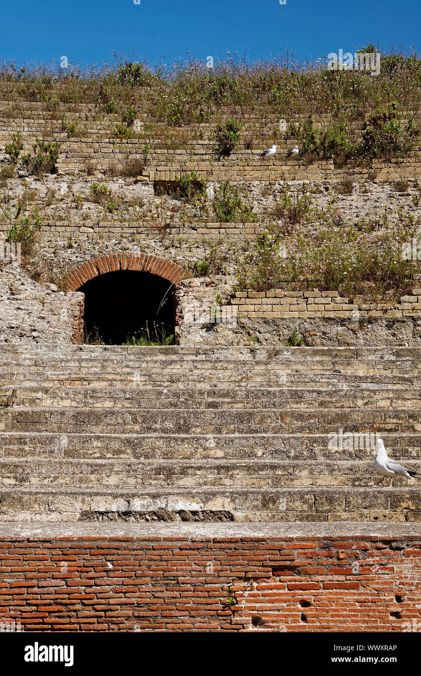 Flavischen Amphitheater; Roman; 1. Jahrhundert; alte Ruinen; Ziegelstein, Stein, Vegetation wächst, gewölbten Öffnung, Alte, Möwen, Pozzouli; Italien; Europa; Spr Stockfoto