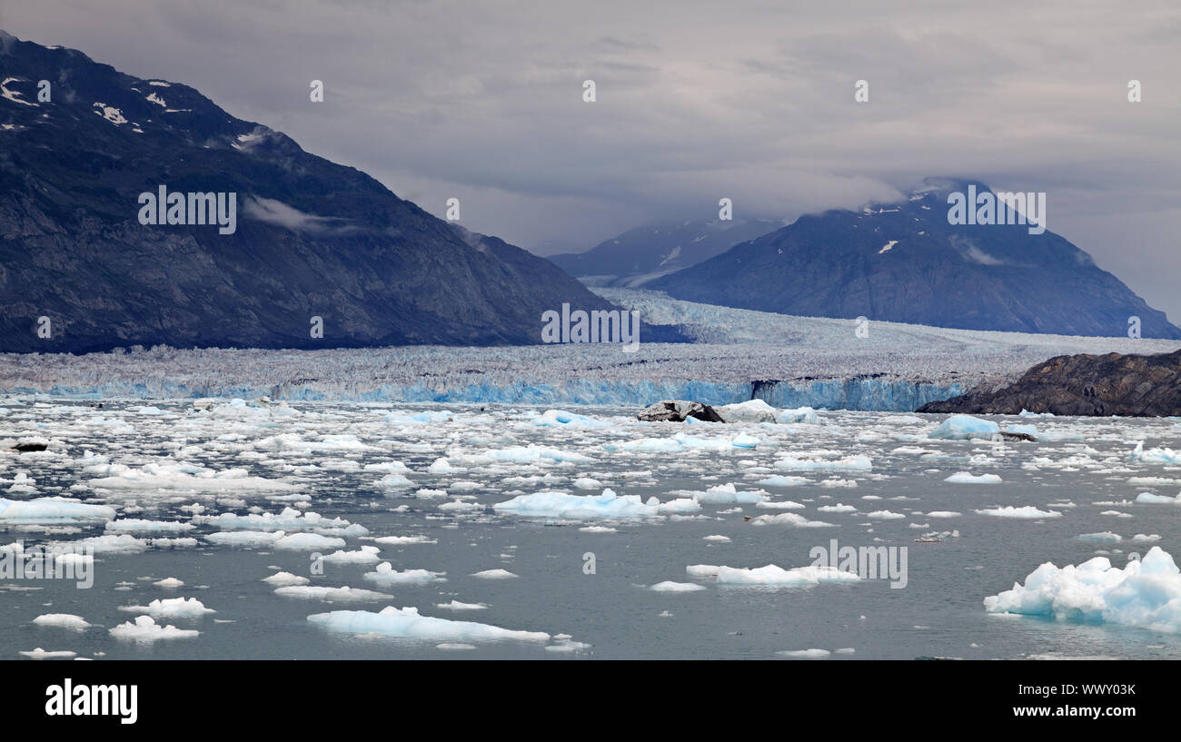 Panorama der Columbia Gletscher in Alaska Stockfoto