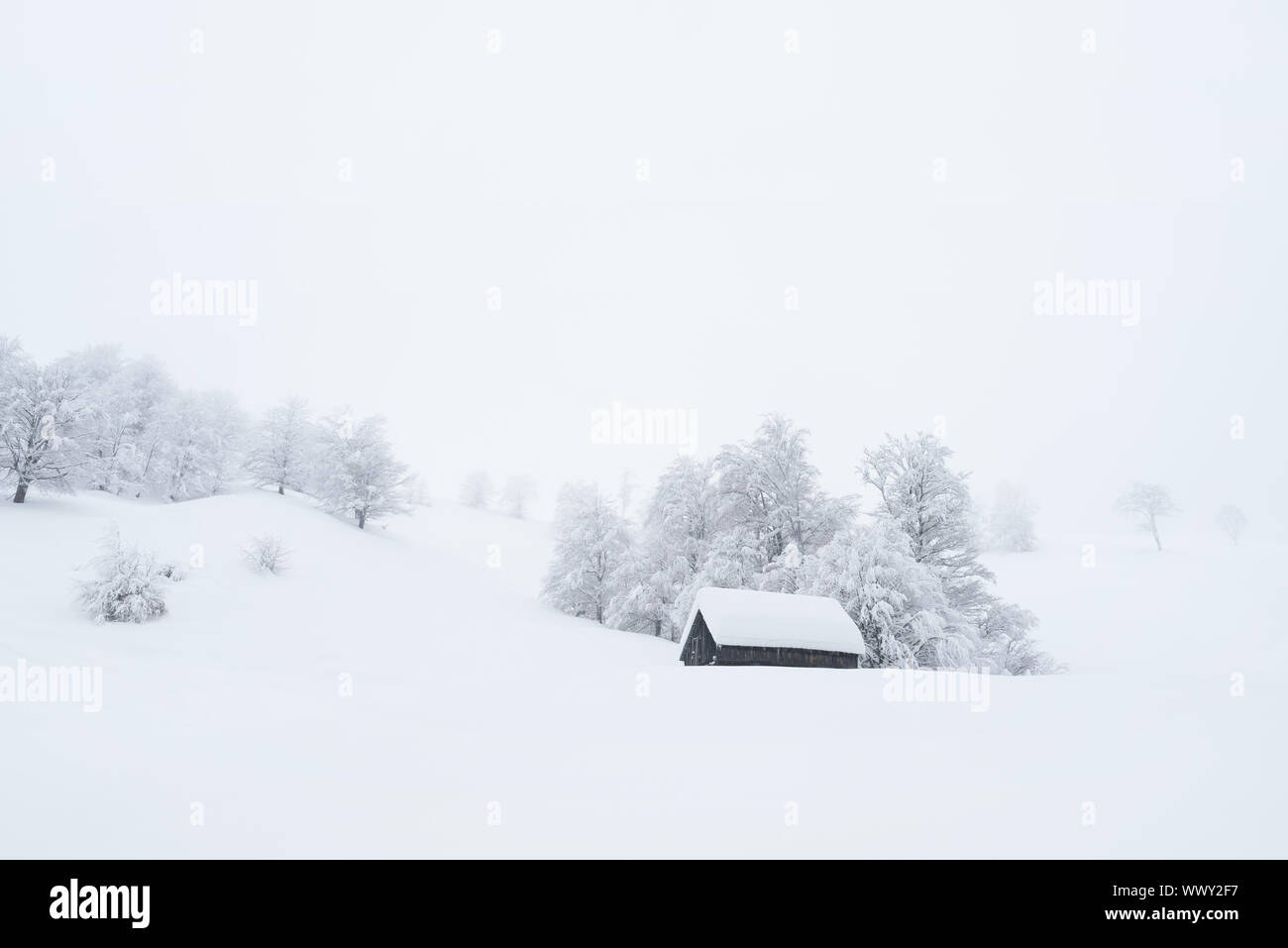 Winterlandschaft mit einem hölzernen Haus im Schnee. Schneefall und Nebel in einem Bergdorf. Datenschutz in einem abgelegenen natürlichen Platz Stockfoto