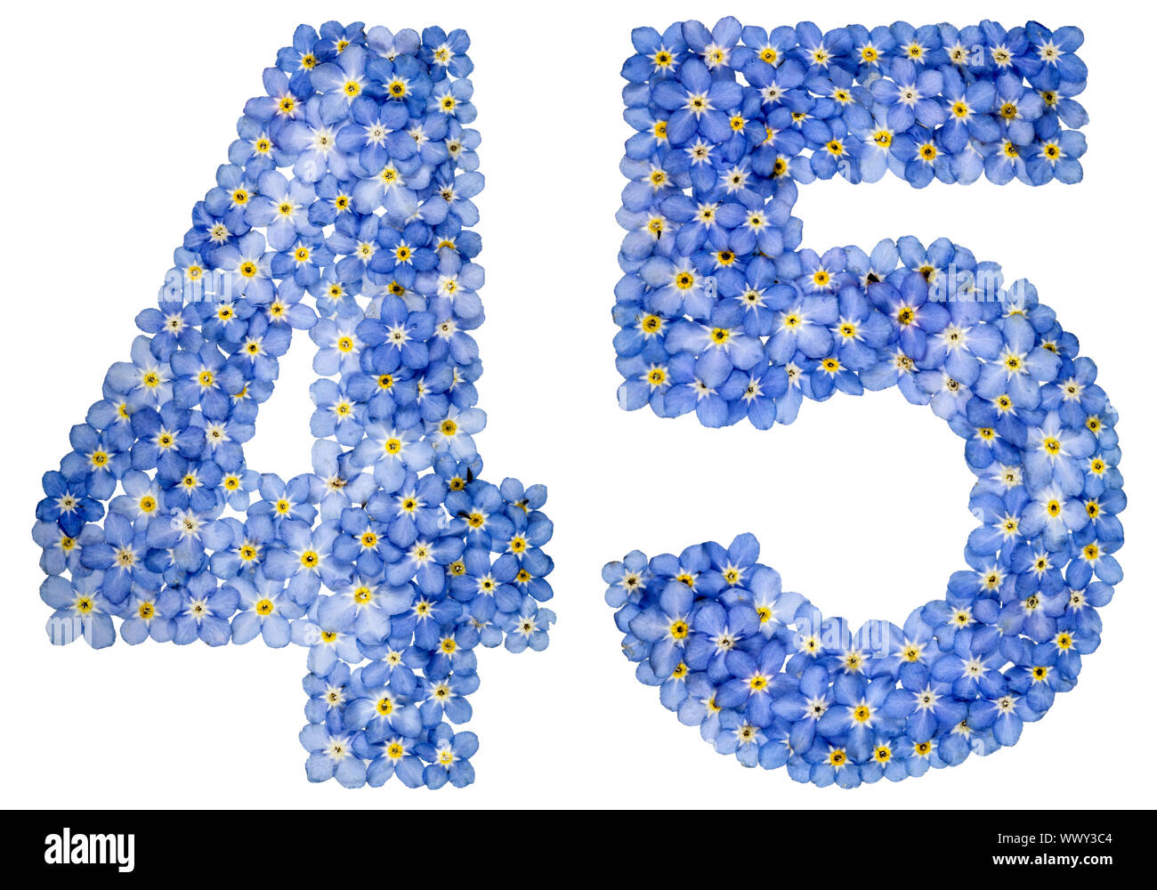 Arabische Zahlen 45, 45, von den blauen Vergißmeinnicht Blumen Stockfoto