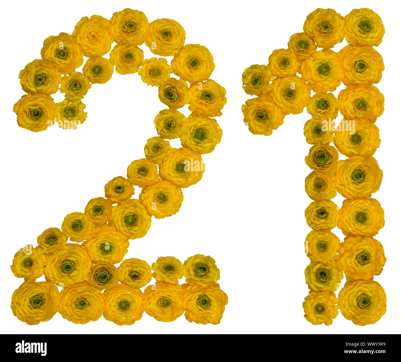 Arabische Zahlen 21, 21, von gelben Blumen der Hahnenfuß, auf weißem Hintergrund Stockfoto