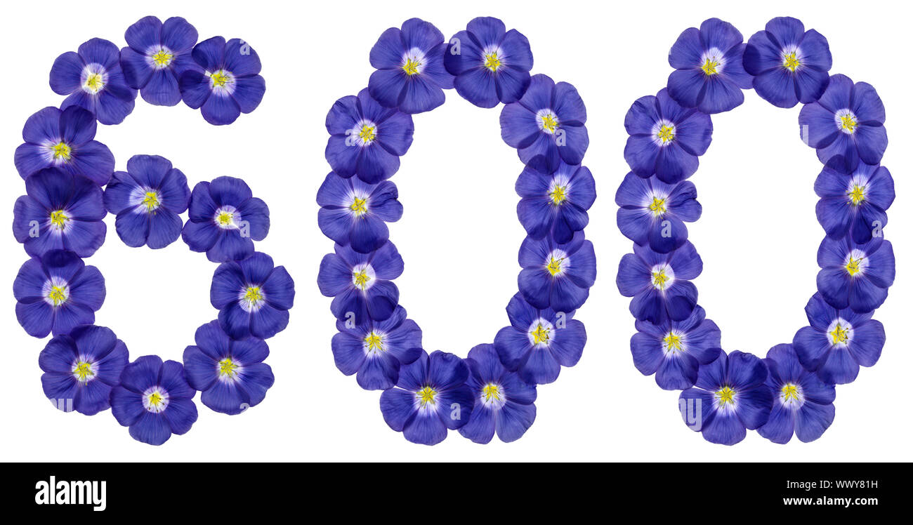 Arabische Zahlen 600, 600, von den blauen Blüten von Flachs, auf weißem Hintergrund Stockfoto