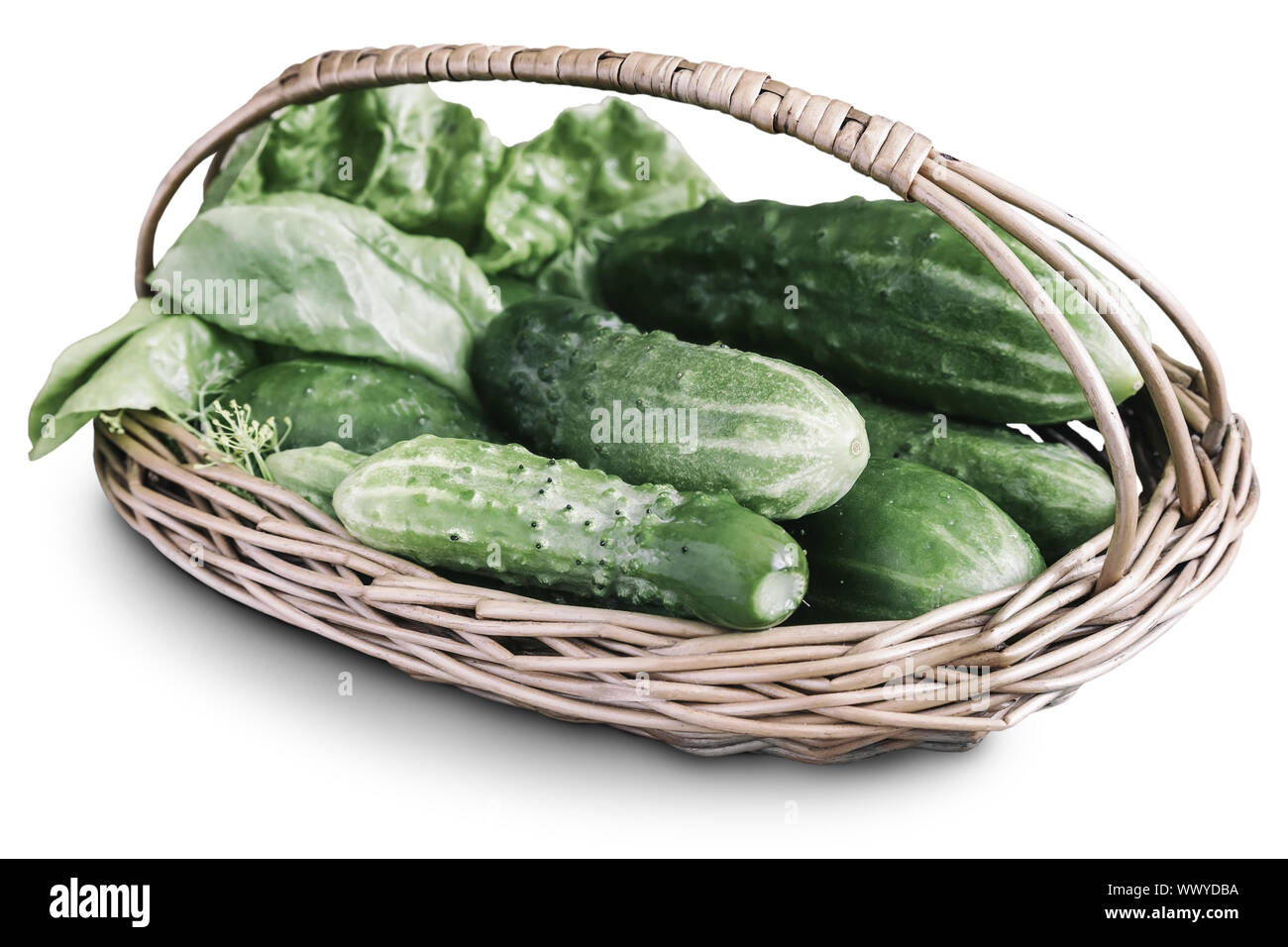 Korb mit Gurken auf einem weißen Hintergrund. Stockfoto