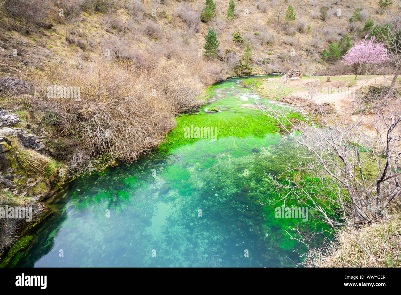 Pozo Azul - Blue Pool - in Covanera Dorf, Paramos region, Burgos, Spanien Stockfoto