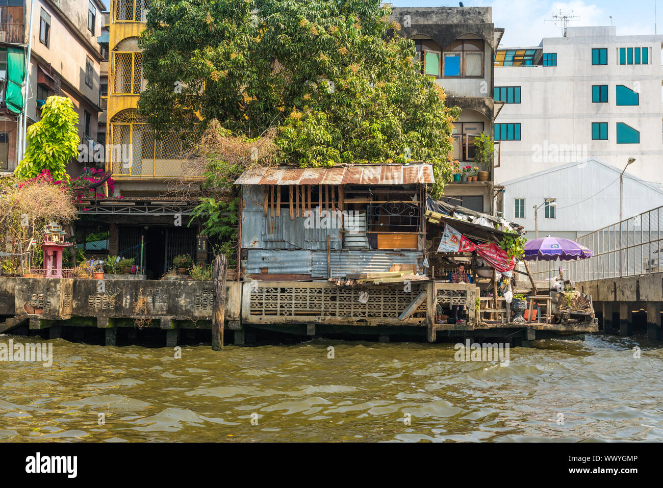 Menschen leben in pfahlbauten am Chao Phraya River Stockfoto