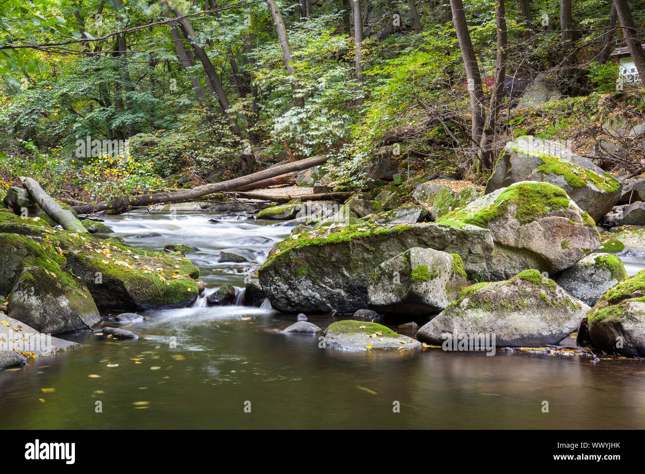 Bode im Harz Flusslandschaft Stockfoto