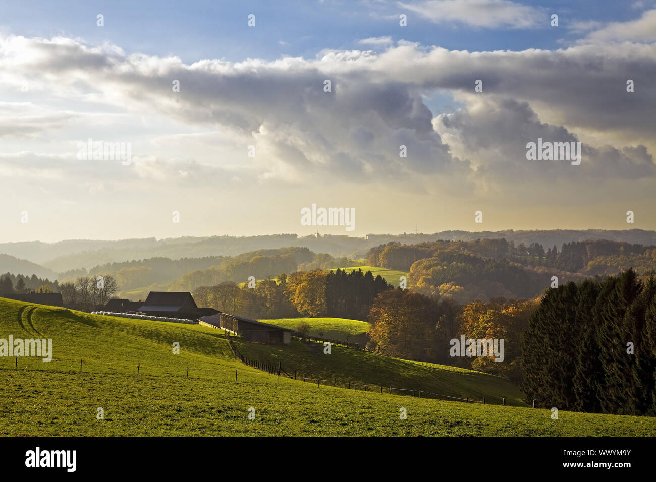 Mittelgebirge, Wermelskirchen Bergisches Land, Nordrhein-Westfalen, Deutschland, Europa Stockfoto