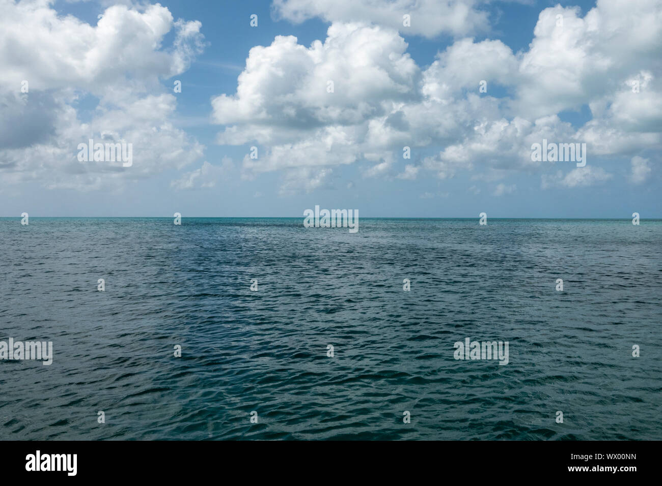 Türkis, Karibische Meer mit Horizont halb und halb mit blauem Himmel und weissen flauschigen Wolken Stockfoto