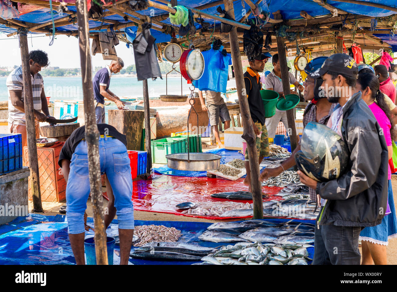 Fischmarkt im Meer Straße, direkt auf den Hafen und die Bucht von Galle Stockfoto