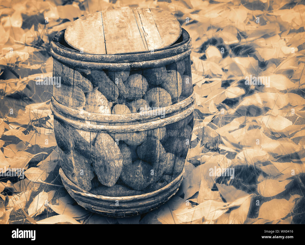 Barrel Gemüse auf dem Hintergrund der Blätter im Herbst. Double Exposure. Stockfoto