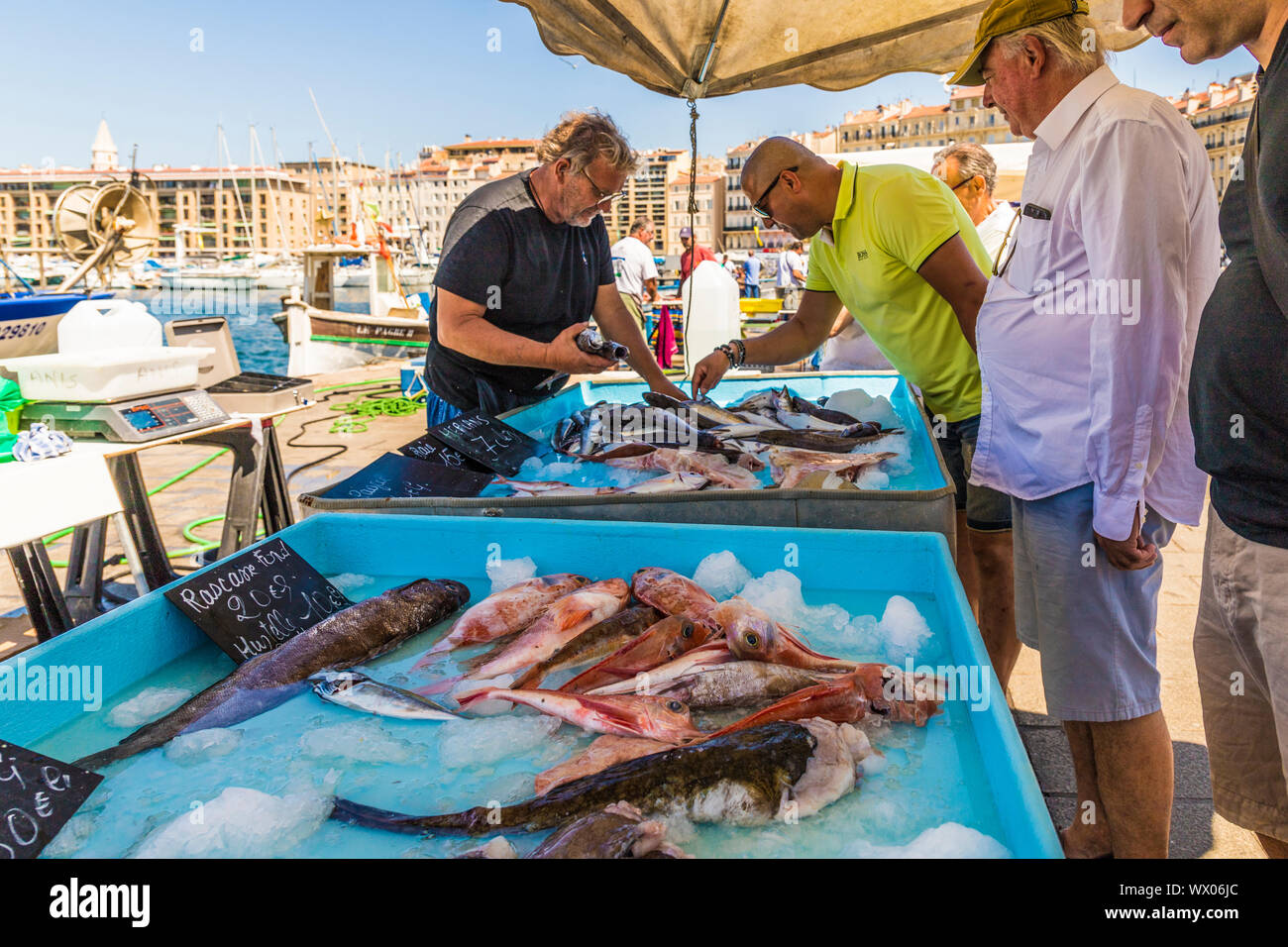 Fischmarkt am Alten Hafen in Marseille Bouches du Rhone, Provence, Provence Alpes Cote d'Azur, Frankreich, Mittelmeer, Europa Stockfoto