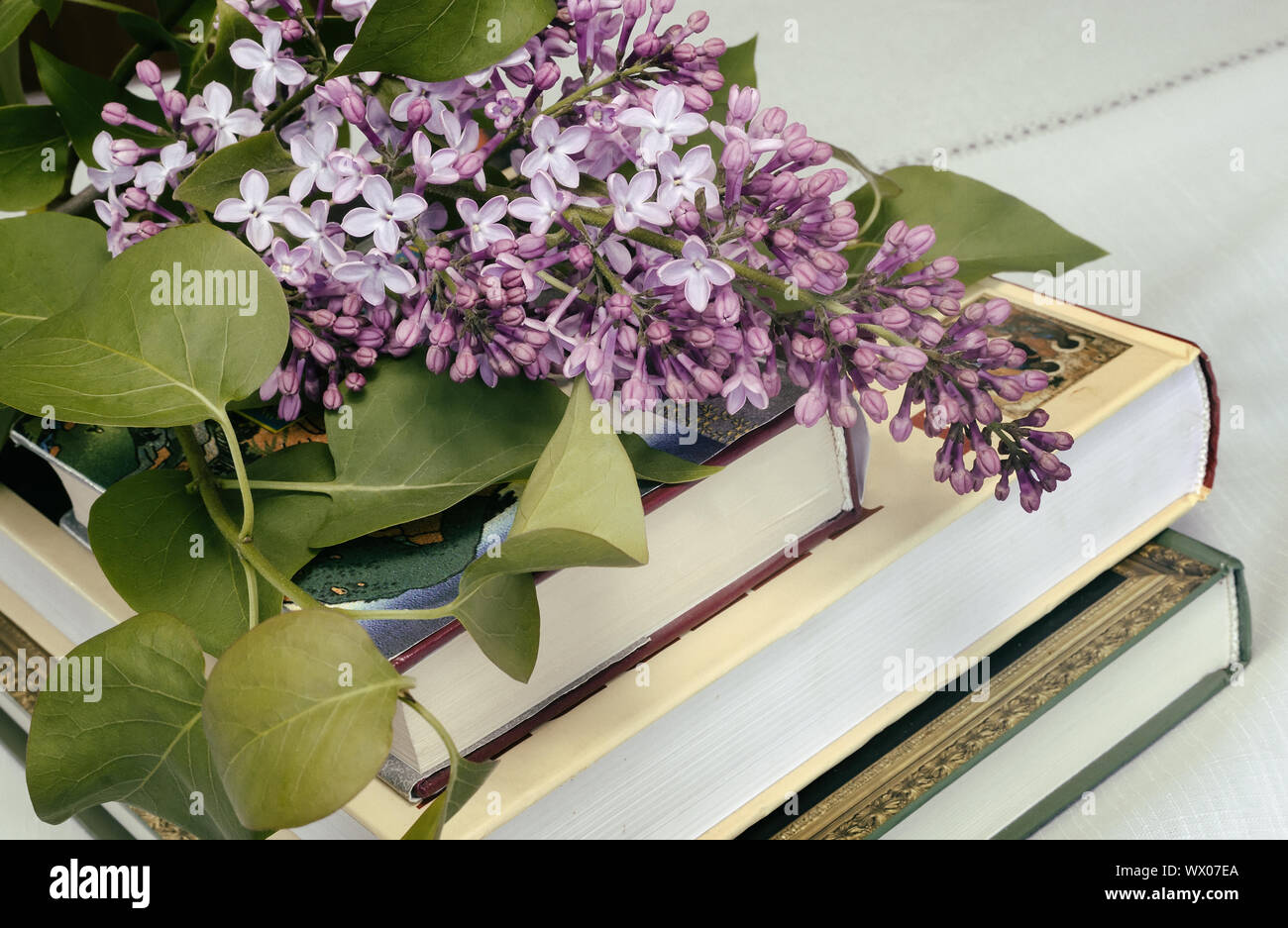 Einen blühenden Zweig der Flieder und Bücher. Stockfoto