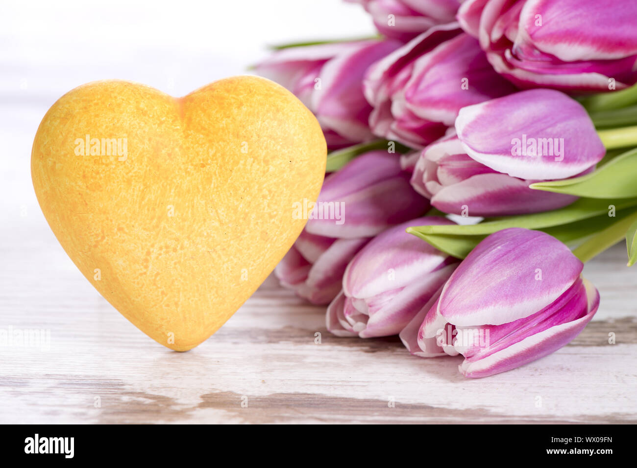 Rosenstrauss Bunte Tulpen Stockfoto