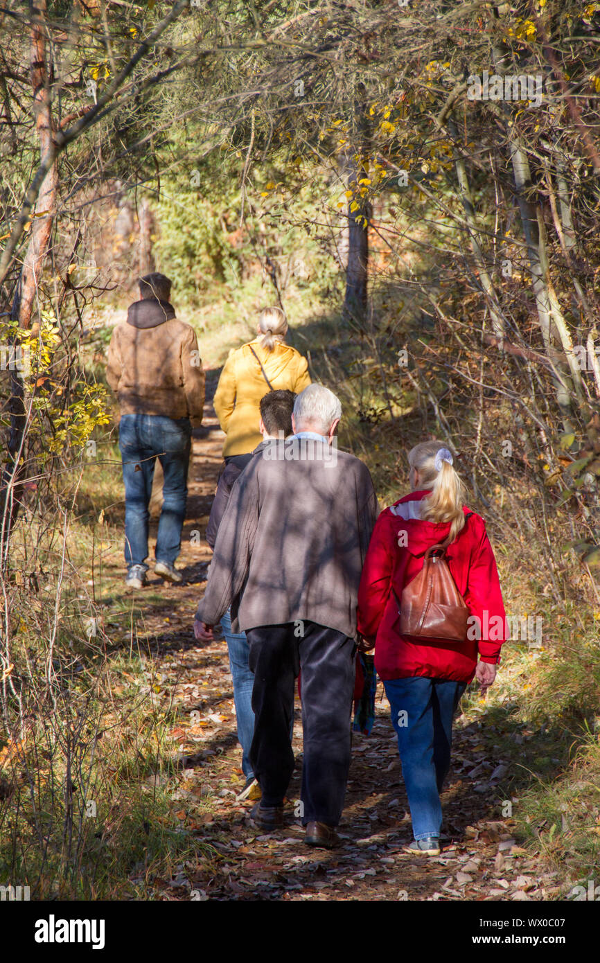 Menschen wandern im Wald Stockfoto