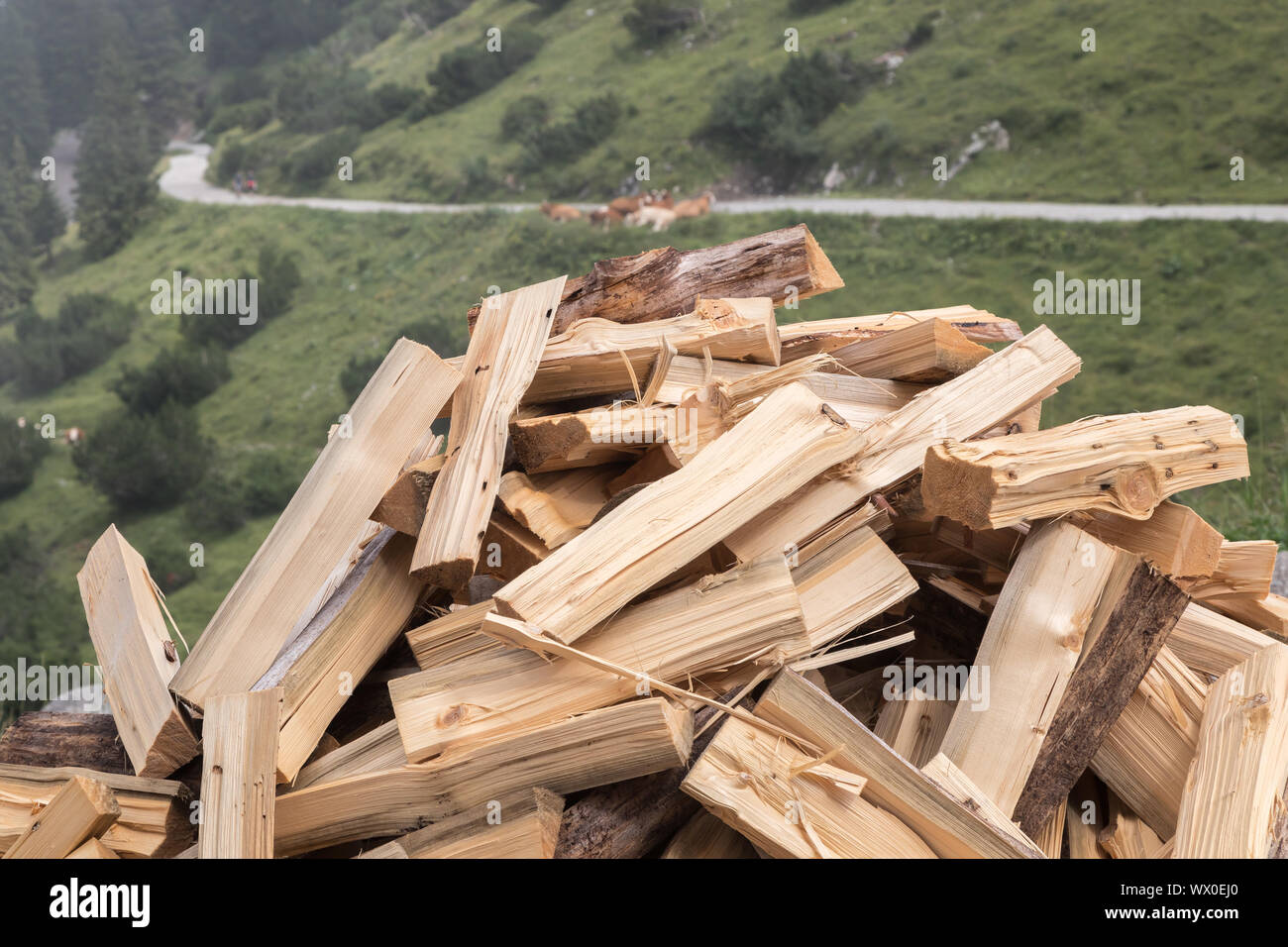 Gestapeltes brennholz Scheitholz im Freien Stockfoto