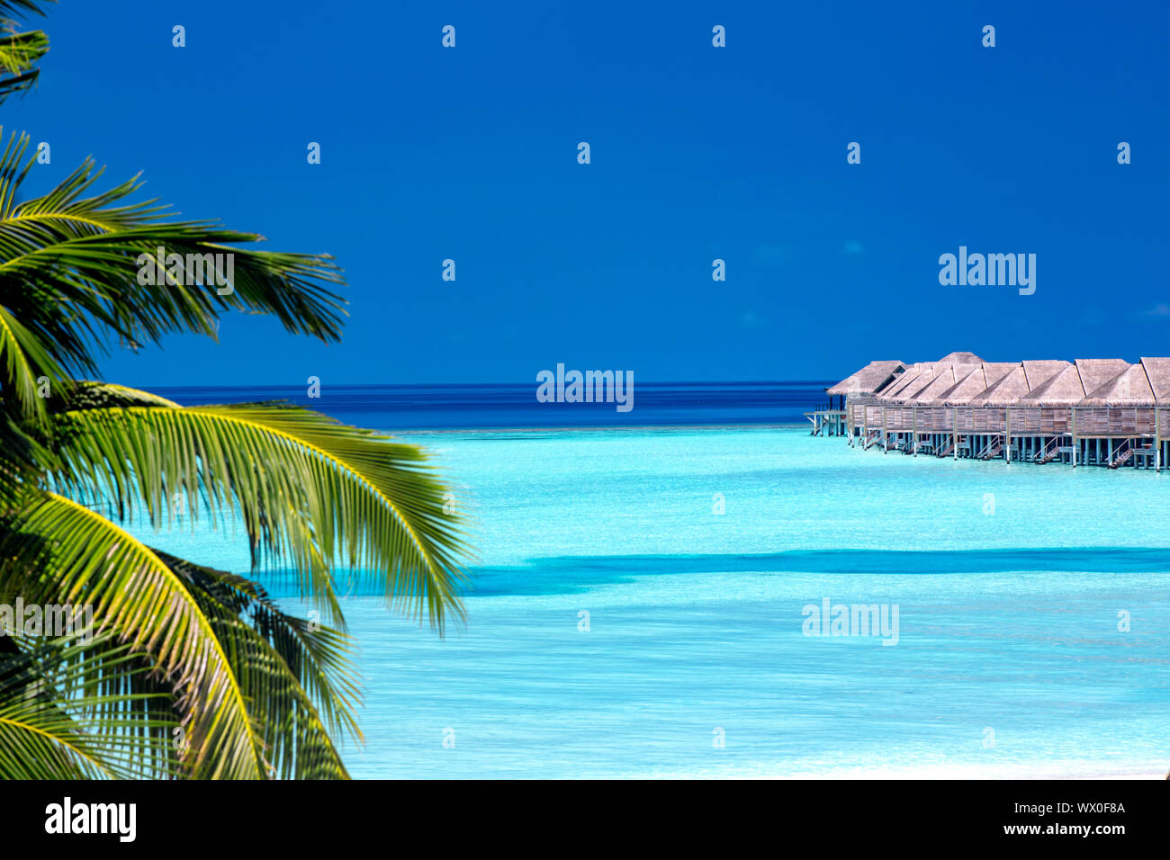 Palme und Lagune, Resort auf den Malediven, Indischer Ozean, Asien Stockfoto