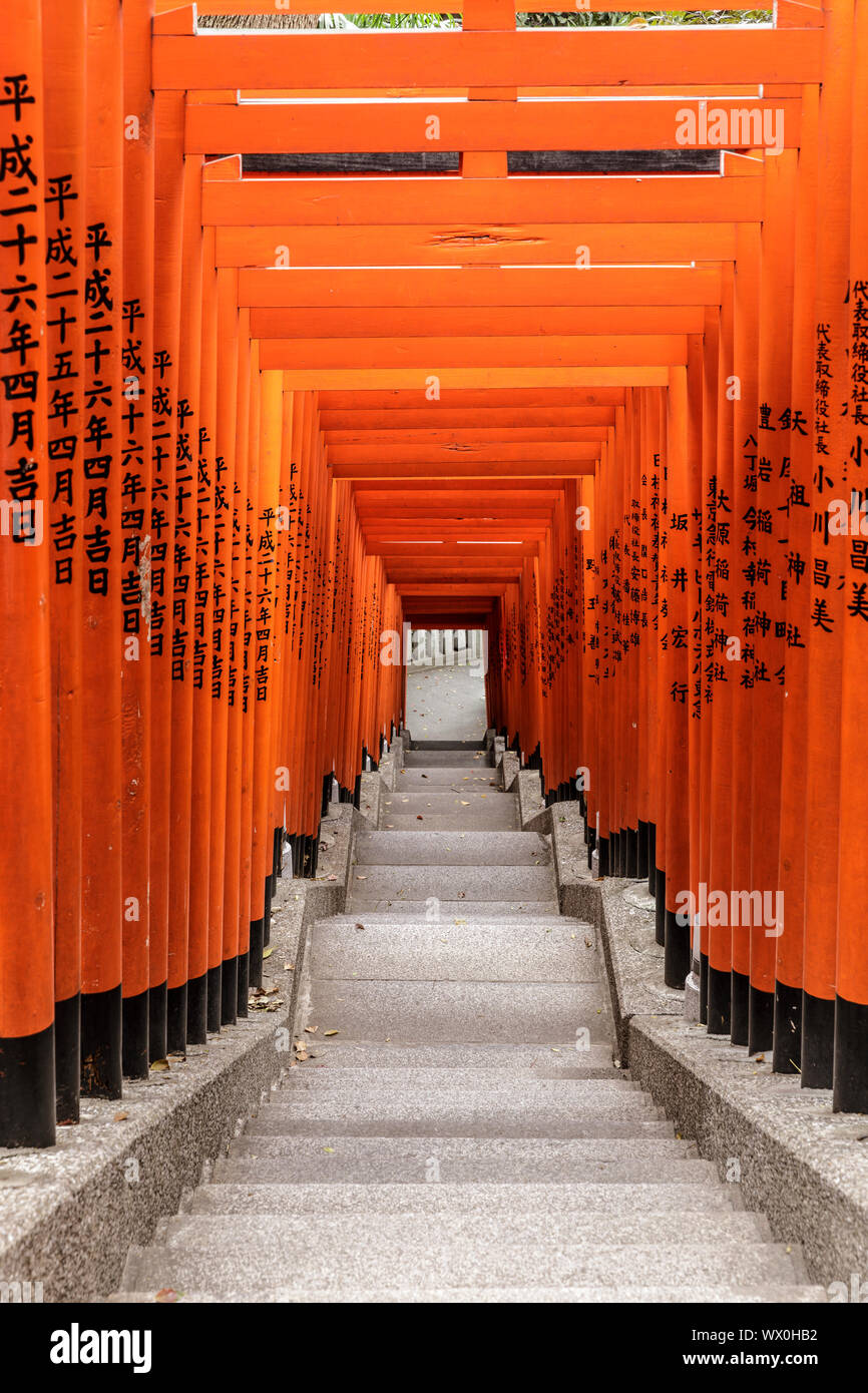 Torii Gates in Hie Heiligtum in Chiyoda, Tokio, Japan, Asien Stockfoto