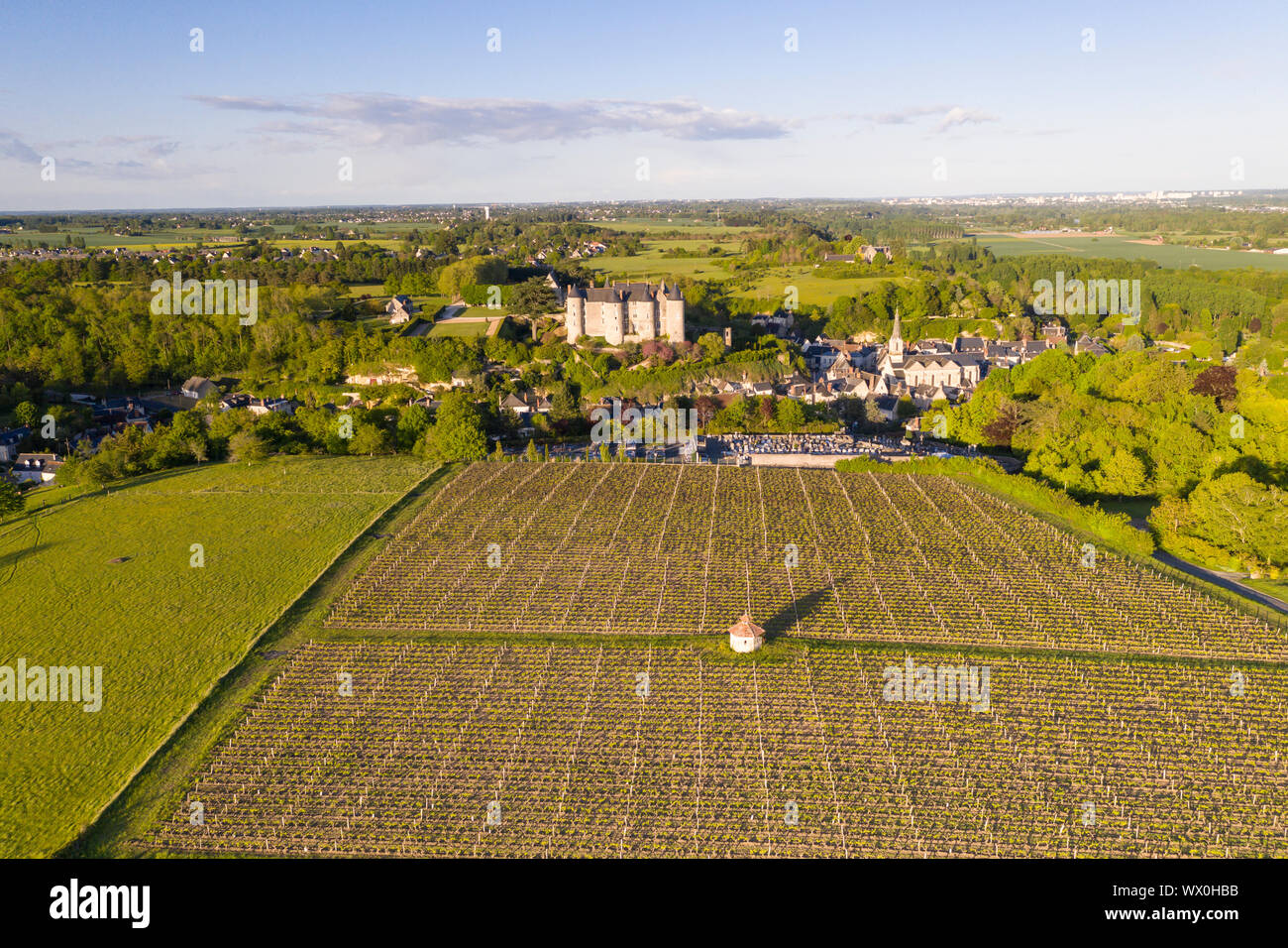 Luftbild des Schlosses und die Weinberge von Luynes, Indre et Loire, Frankreich, Europa Stockfoto