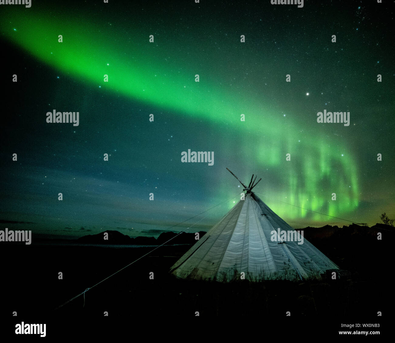 Aurora Borealis (Nordlicht) über einen traditionellen Lavvu, Senja, Norwegen, Skandinavien, Europa Stockfoto