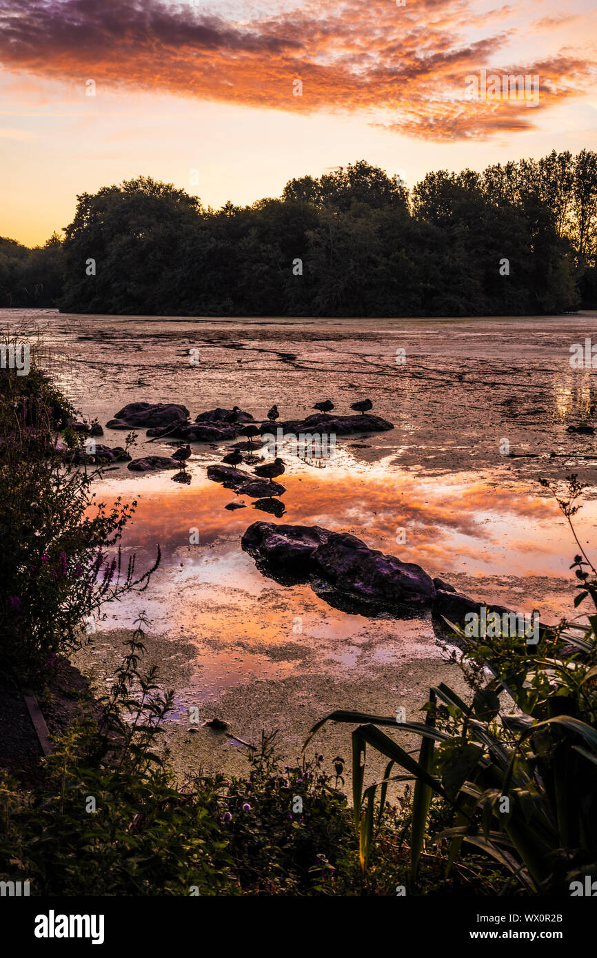 Sonnenaufgang über einem kleinen See als Liden Lagune in Swindon, Wiltshire bekannt. Stockfoto