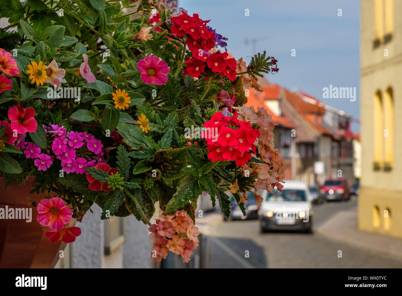 Blick von Ballenstedt im Harz Stockfoto