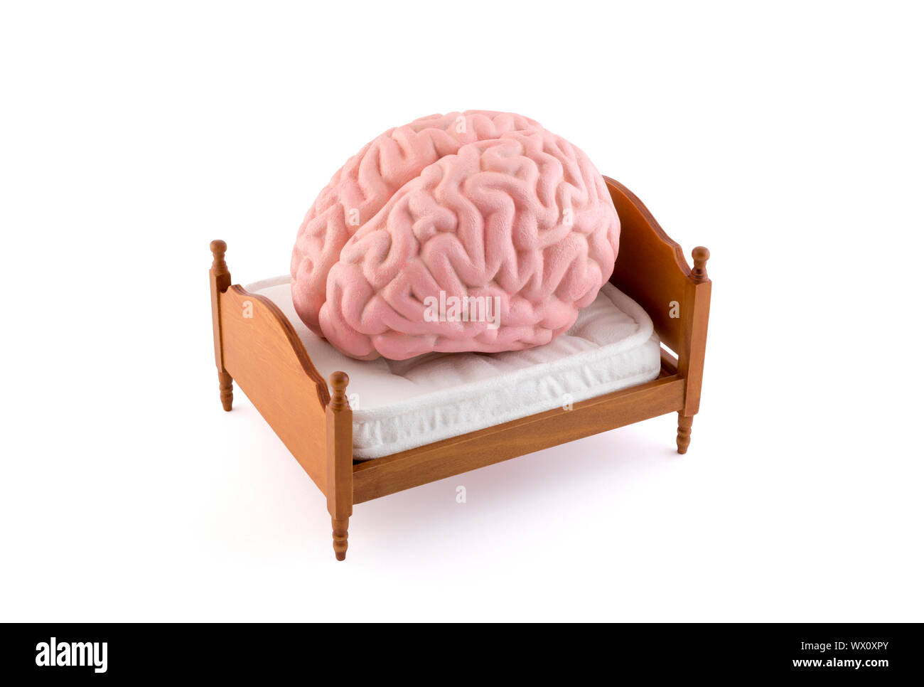 Menschliche Gehirn ruht auf dem Bett auf weißem Hintergrund Stockfoto