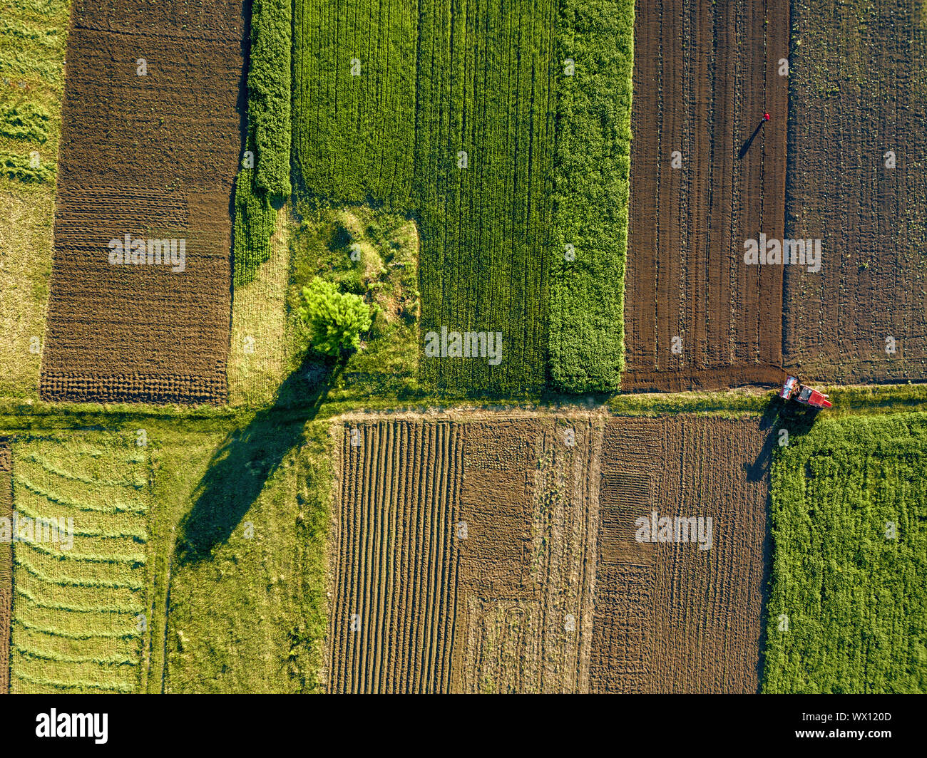 Luftbild von der Drohne, einen Blick aus der Vogelperspektive auf landwirtschaftlichen Feldern mit einer Straße durch einen Traktor im Frühjahr eveni und Stockfoto