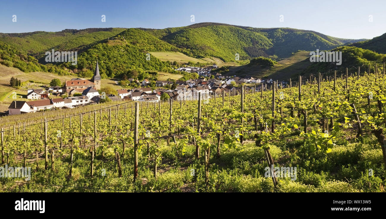 Blick über die Weinberge auf den Ort Mayschoss, Ahrtal, Eifel, Rheinland-Pfalz, Deutschland, Europa Stockfoto